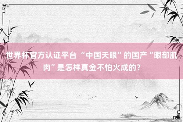 世界杯官方认证平台 “中国天眼”的国产“眼部肌肉”是怎样真金不怕火成的?