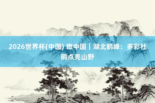 2026世界杯(中国) 瞰中国|湖北鹤峰:多彩杜鹃点亮山野