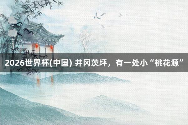 2026世界杯(中国) 井冈茨坪,有一处小“桃花源”