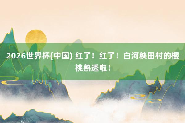 2026世界杯(中国) 红了!红了!白河秧田村的樱桃熟透啦!