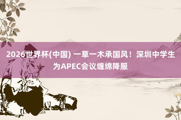 2026世界杯(中国) 一草一木承国风!深圳中学生为APEC会议缠绵降服