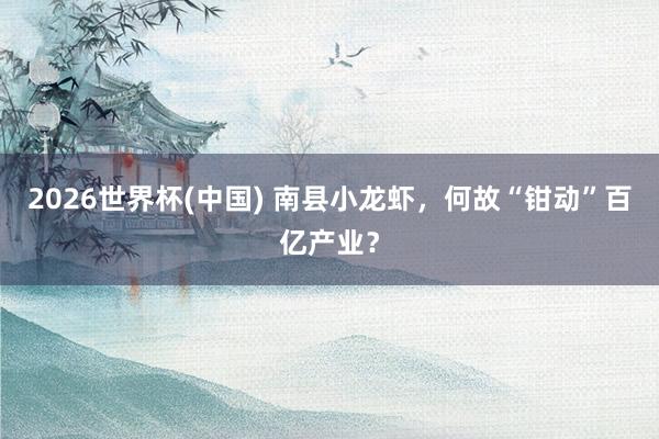 2026世界杯(中国) 南县小龙虾,何故“钳动”百亿产业?