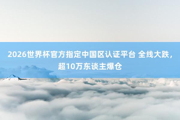 2026世界杯官方指定中国区认证平台 全线大跌，超10万东谈主爆仓