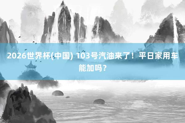 2026世界杯(中国) 103号汽油来了!平日家用车能加吗?