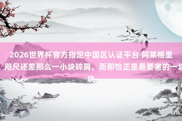 2026世界杯官方指定中国区认证平台 阿莱格里:咫尺还差那么一小块碎屑,而那恰正是最要害的一块