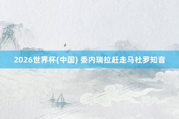 2026世界杯(中国) 委内瑞拉赶走马杜罗知音