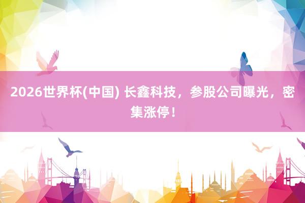 2026世界杯(中国) 长鑫科技,参股公司曝光,密集涨停!