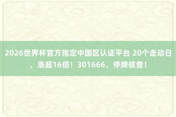 2026世界杯官方指定中国区认证平台 20个走动日,涨超16倍!301666,停牌核查!