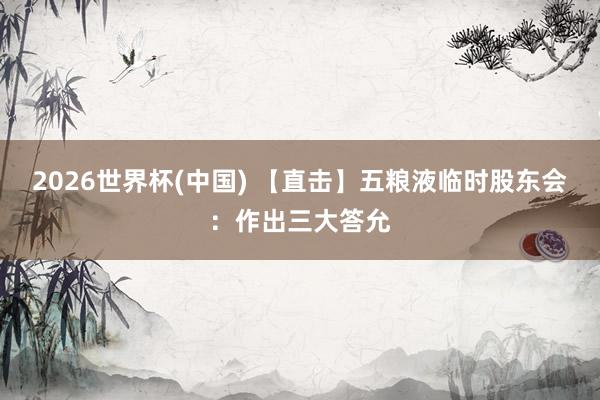 2026世界杯(中国) 【直击】五粮液临时股东会:作出三大答允