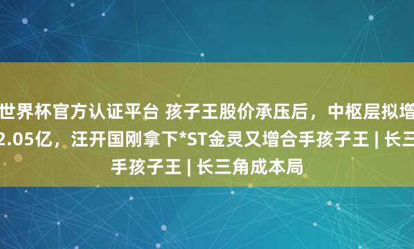 世界杯官方认证平台 孩子王股价承压后，中枢层拟增合手最高2.05亿，汪开国刚拿下*ST金灵又增合手孩子王 | 长三角成本局