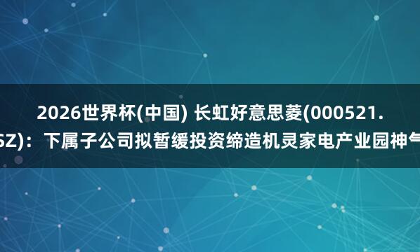 2026世界杯(中国) 长虹好意思菱(000521.SZ)：下属子公司拟暂缓投资缔造机灵家电产业园神气