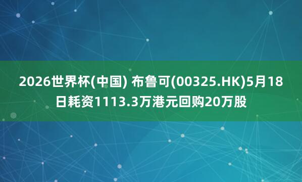 2026世界杯(中国) 布鲁可(00325.HK)5月18日耗资1113.3万港元回购20万股