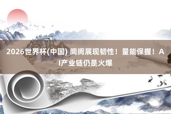 2026世界杯(中国) 阛阓展现韧性!量能保握!AI产业链仍是火爆