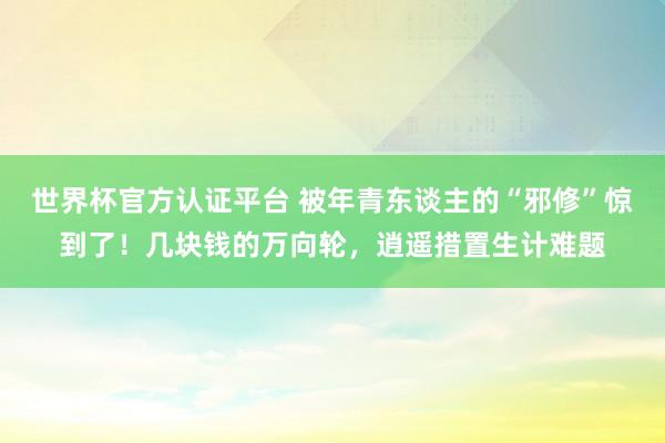 世界杯官方认证平台 被年青东谈主的“邪修”惊到了!几块钱的万向轮,逍遥措置生计难题
