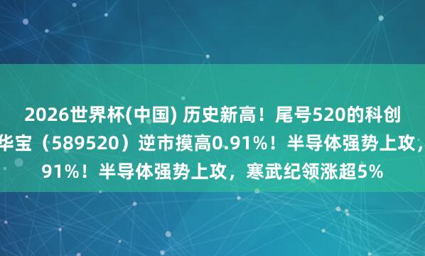 2026世界杯(中国) 历史新高!尾号520的科创东谈主工智能ETF华宝(589520)逆市摸高0.91%!半导体强势上攻,寒武纪领涨超5%