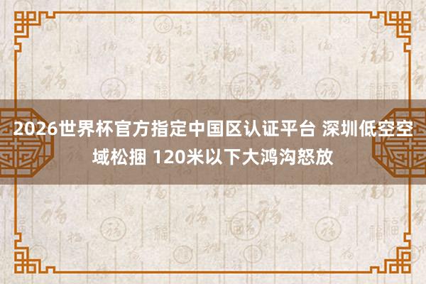 2026世界杯官方指定中国区认证平台 深圳低空空域松捆 120米以下大鸿沟怒放