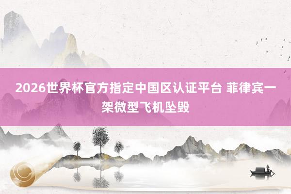 2026世界杯官方指定中国区认证平台 菲律宾一架微型飞机坠毁