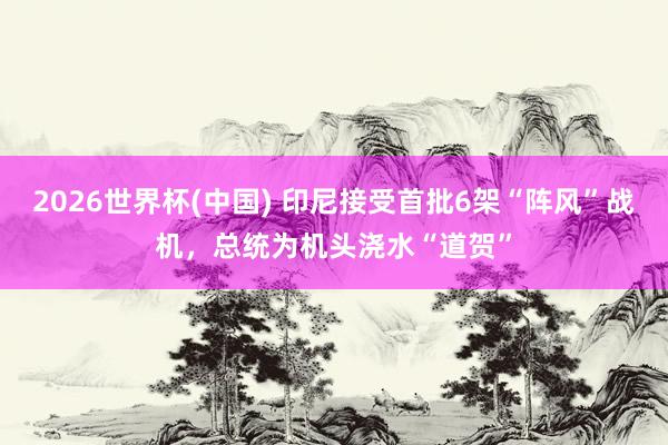 2026世界杯(中国) 印尼接受首批6架“阵风”战机，总统为机头浇水“道贺”