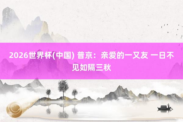 2026世界杯(中国) 普京：亲爱的一又友 一日不见如隔三秋