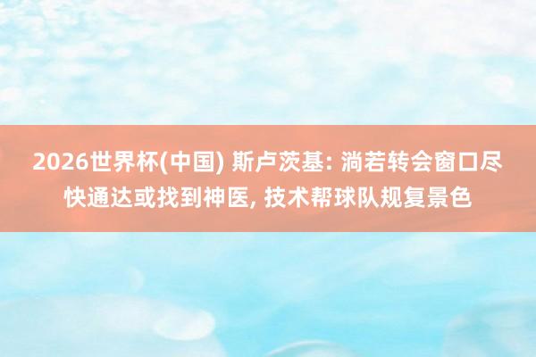 2026世界杯(中国) 斯卢茨基: 淌若转会窗口尽快通达或找到神医, 技术帮球队规复景色