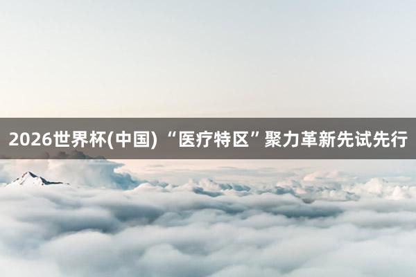 2026世界杯(中国) “医疗特区”聚力革新先试先行