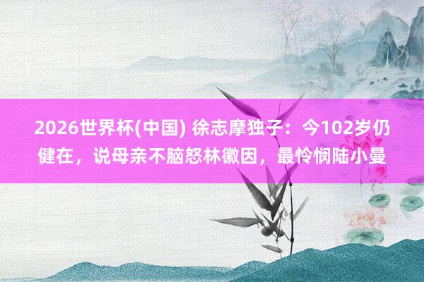 2026世界杯(中国) 徐志摩独子:今102岁仍健在,说母亲不脑怒林徽因,最怜悯陆小曼