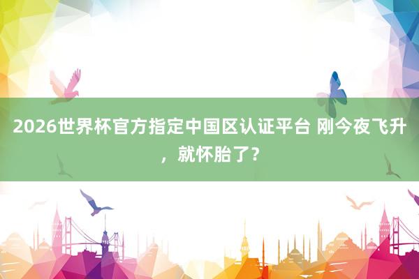 2026世界杯官方指定中国区认证平台 刚今夜飞升,就怀胎了?