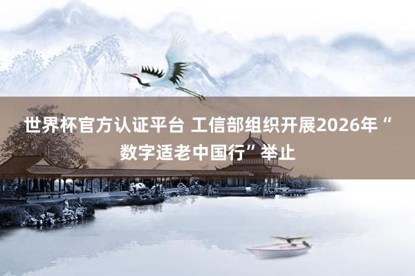 世界杯官方认证平台 工信部组织开展2026年“数字适老中国行”举止