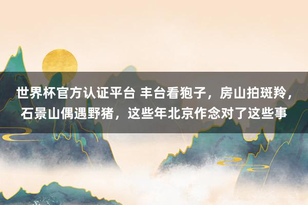 世界杯官方认证平台 丰台看狍子,房山拍斑羚,石景山偶遇野猪,这些年北京作念对了这些事