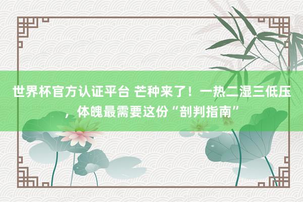 世界杯官方认证平台 芒种来了！一热二湿三低压，<a href=