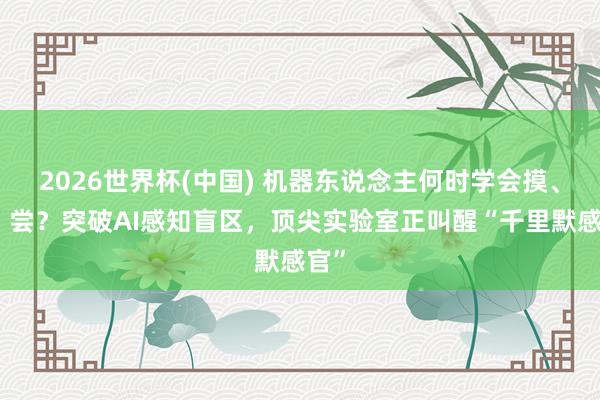 2026世界杯(中国) 机器东说念主何时学会摸、闻、尝?突破AI感知盲区,顶尖实验室正叫醒“千里默感官”