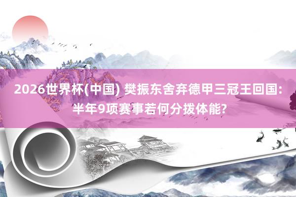 2026世界杯(中国) 樊振东舍弃德甲三冠王回国: 半年9项赛事若何分拨体能?