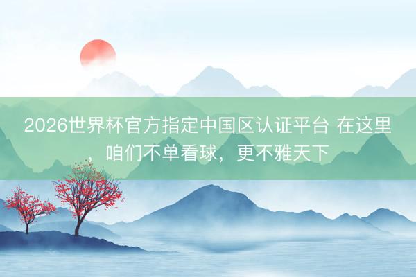 2026世界杯官方指定中国区认证平台 在这里,咱们不单看球,更不雅天下